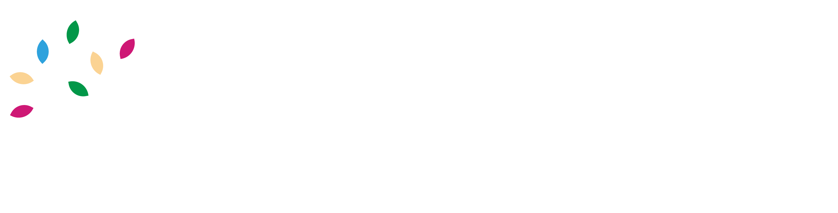 Geo HealthCare